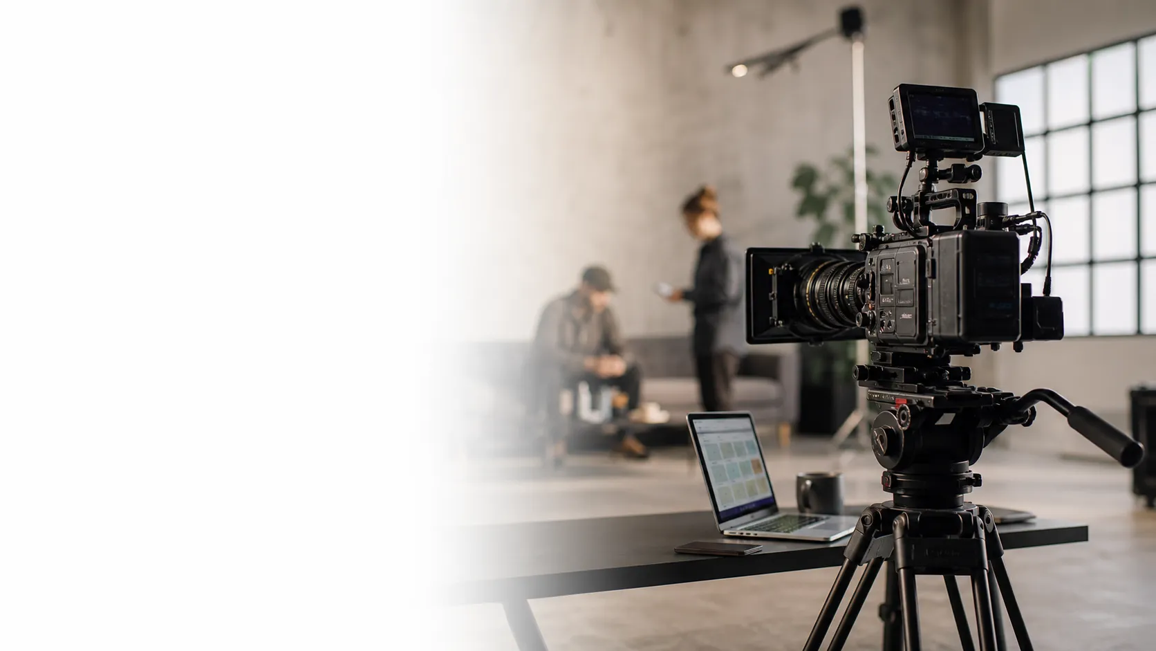 Creator management and talent development